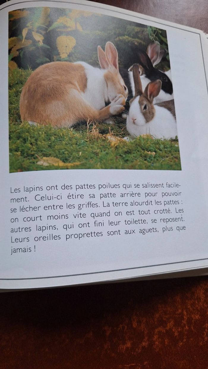 Jane burton animaux hatier - photo numéro 3