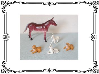 Chevaux et chiens.