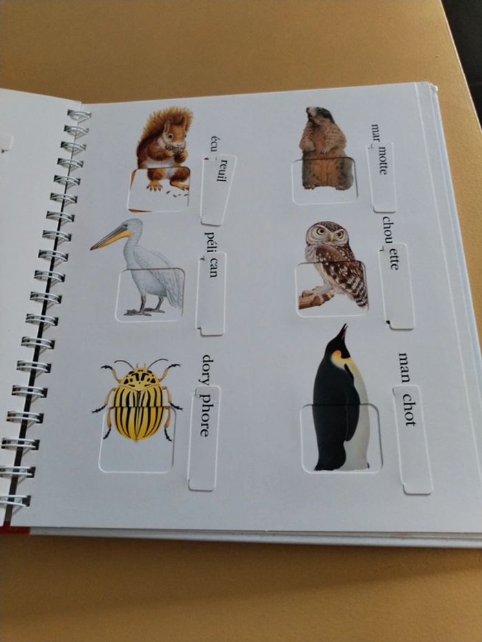 Explore les animaux 78 - photo numéro 14