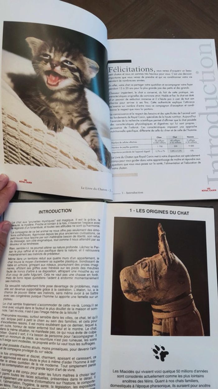 Les chats Guide Vert Solar + Le livre du chaton de Royal canin - photo numéro 4
