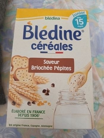 Bledine gout brioche pépites 