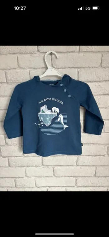 Tee shirt, pull fin  à capuche obaibi taille 18 mois