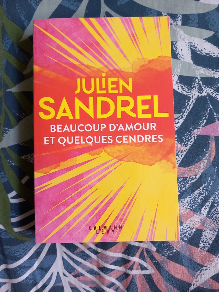 Julien Sandrel - Beaucoup de cendres et d'amour