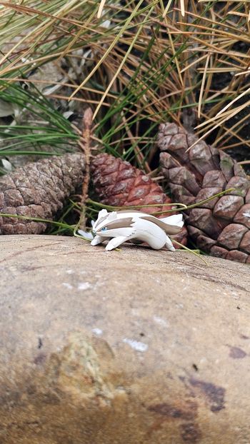 Super petite figurine Pokemon Nintendo lineon