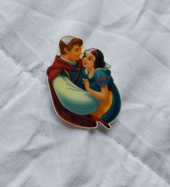 Broche disney princesse