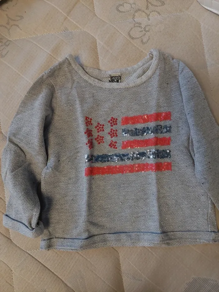 Lot 2 pulls filles très bon état