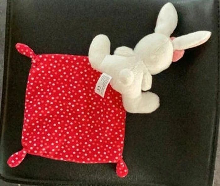 Doudou, lapin - photo numéro 2
