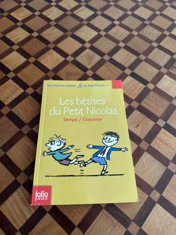 Livre Les Bêtises du Petit Nicolas
