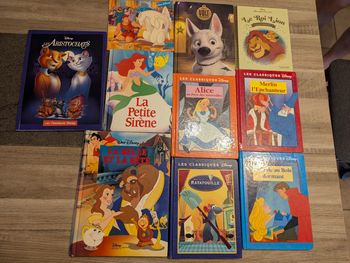 Livre Disney à l'unité ou en lot