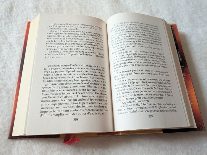 Roman La Perle du Sud de Linda Holeman - photo numéro 3