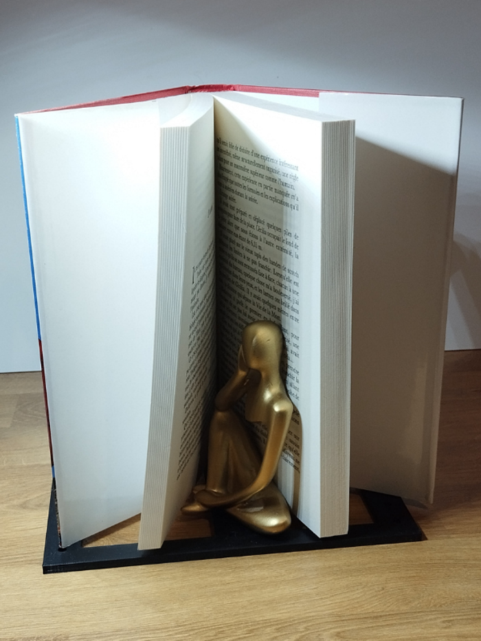 Roman Belles galères de Patrick Cauvin - photo numéro 5