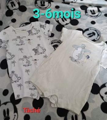 Combishort baloo