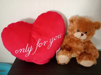 Peluche cœur et peluche ourson Saint Valentin
