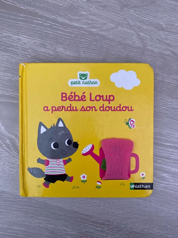 Livre cache cache petit Nathan