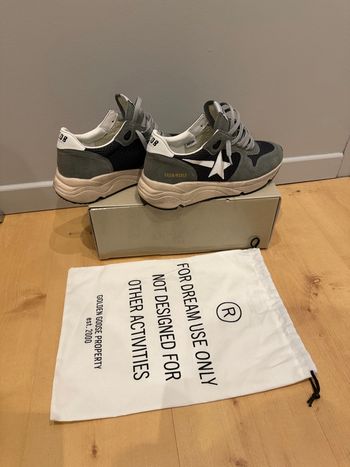 Golden goose running