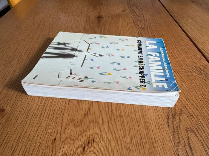 Lot de 2 livres La famille Comment en réchapper Vince & Joy – Lisa Jewell – Roman en français et - photo numéro 3