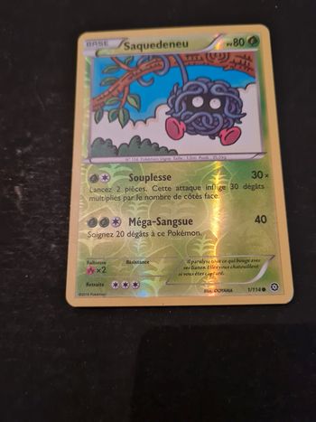 Carte pokémon Saquedeneu 1/114