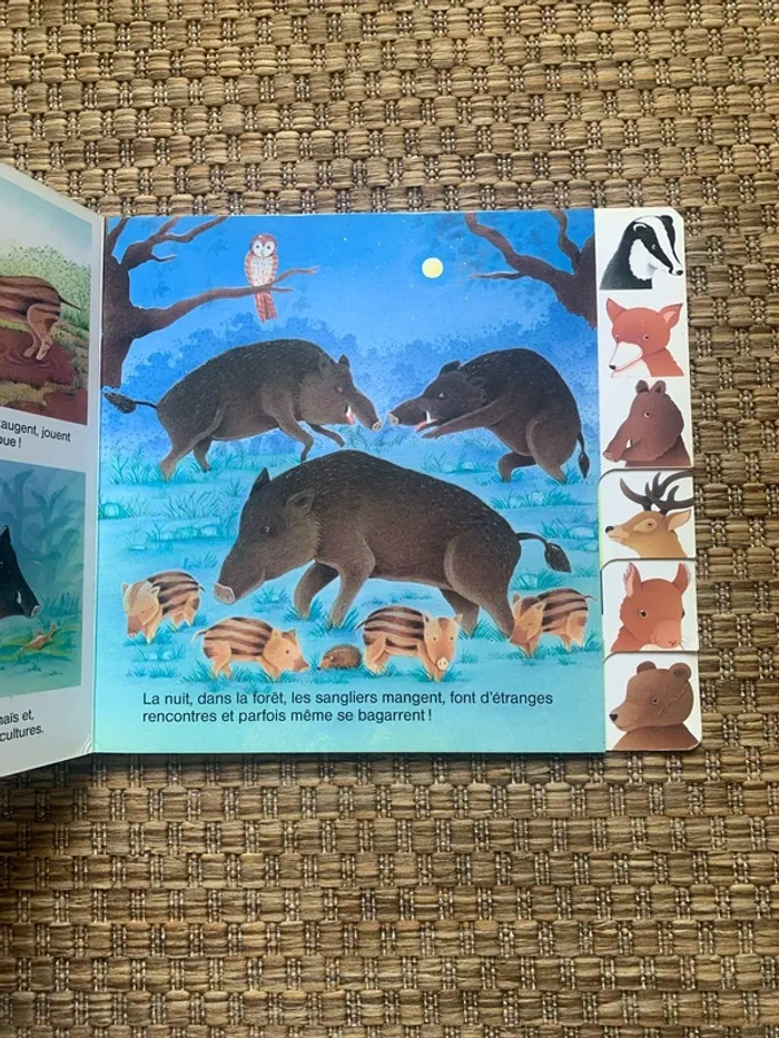 Livre rigide enfant la forêt - photo numéro 2