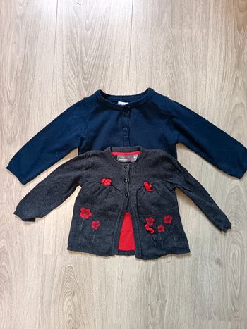 Lot gilets fille 9 mois bleu et gris à fleurs rouges