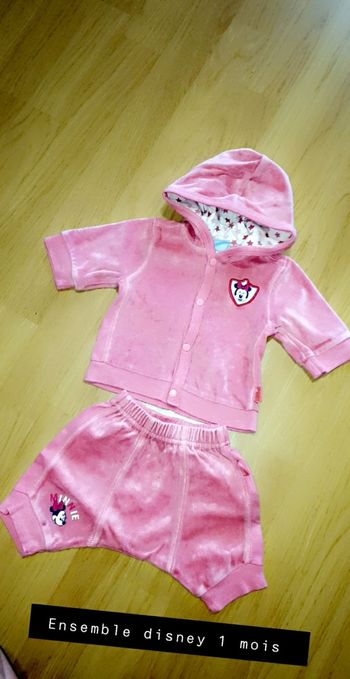 Ensemble Disney