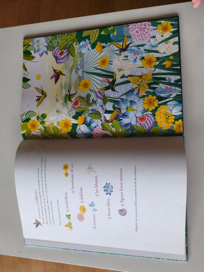 L'île aux oiseaux - photo numéro 3