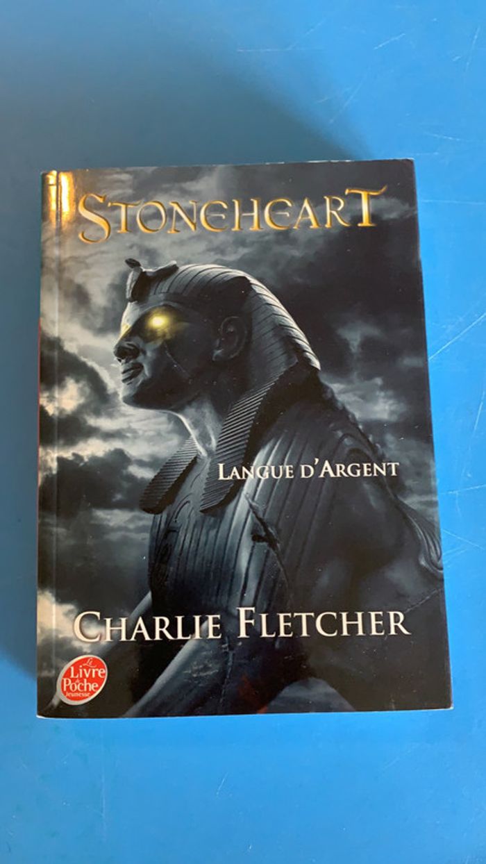 Livre Stoneheart de Charlie Fletcher
