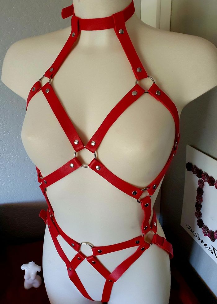 Ceinture de corps intégrale rouge festival bondage bdsm costume - photo numéro 3