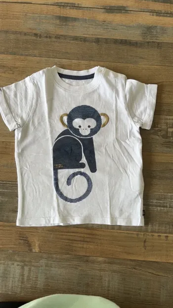 Teeshirt singe