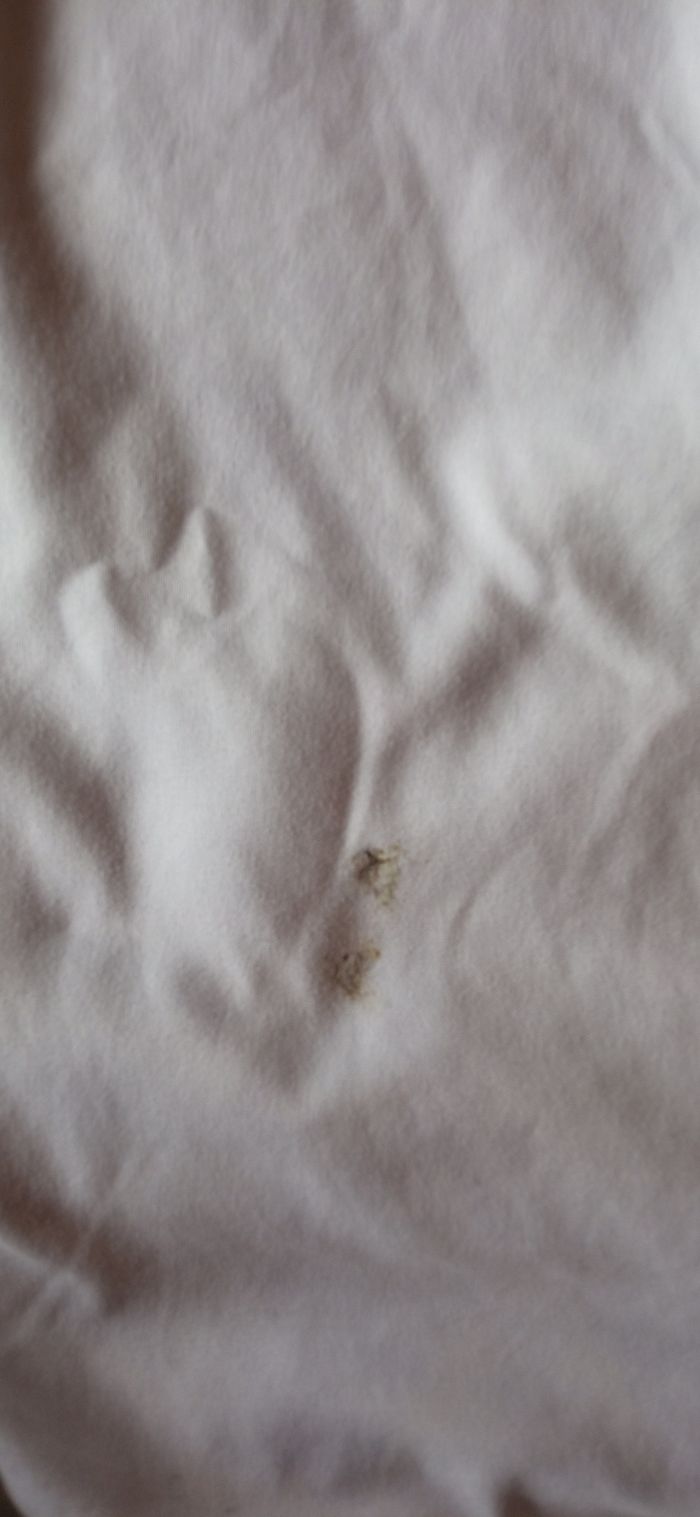 Drap housse et taie d'oreiller - photo numéro 2