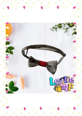 Noeud papillon garçon