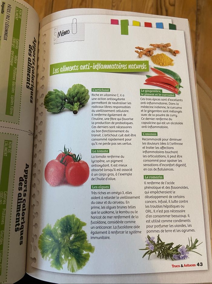 Lot 2 livres - photo numéro 2