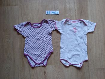 Lot de 2 bodies manches courtes