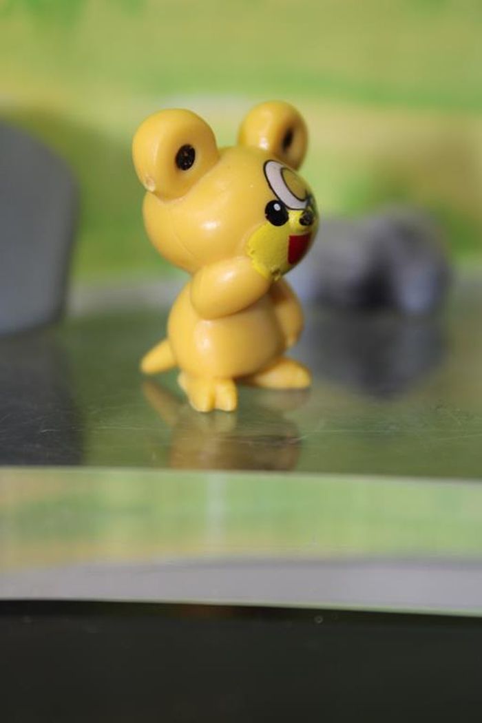 Pokemon Teddiursa - photo numéro 2