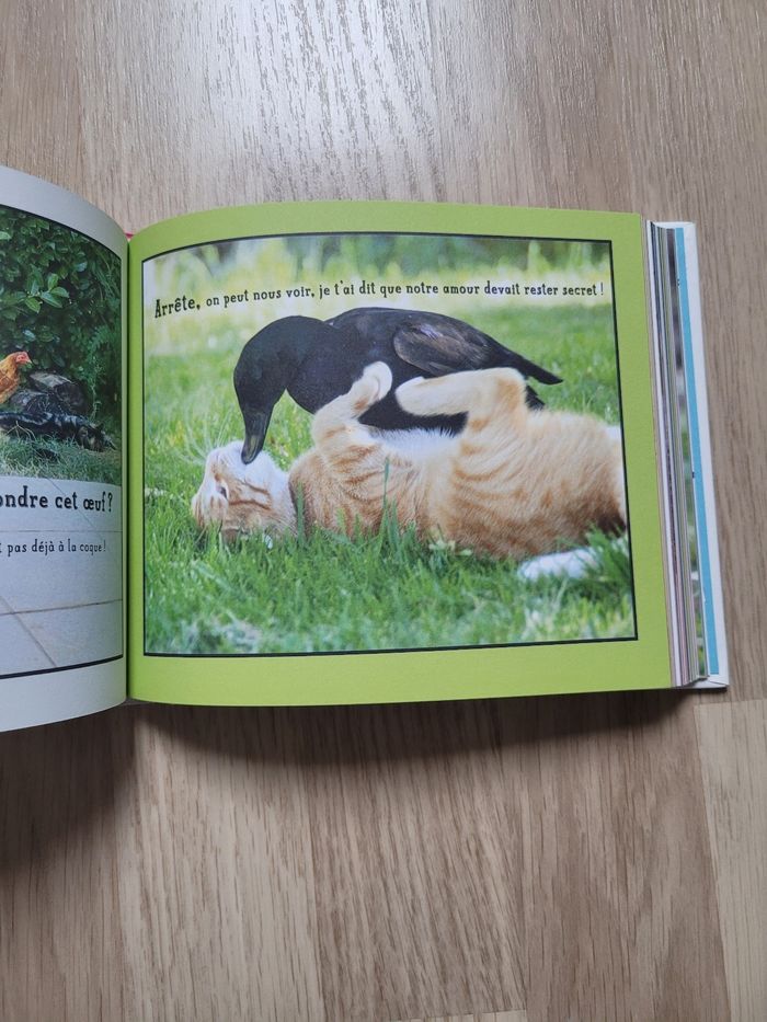📖 tu peux pas comprendre t'es pas un chat - photo numéro 6
