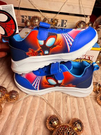 Basket Spidey et ces amies