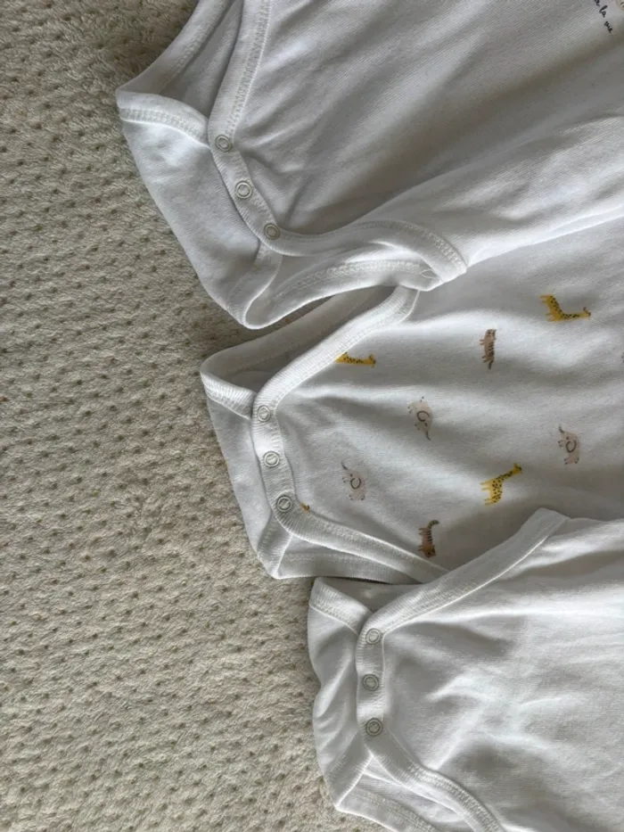 Bodies 3 mois - photo numéro 5