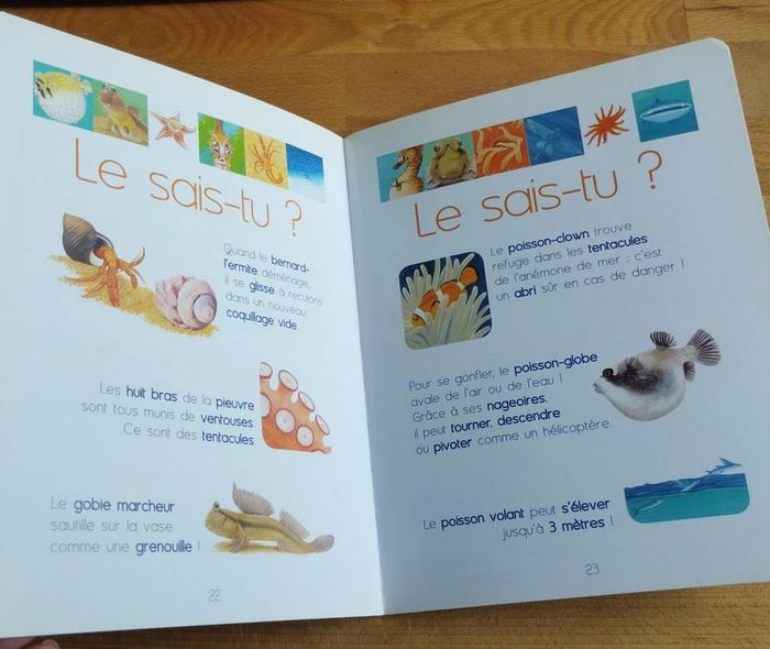 Livre enfant Les animaux de la mer 4-7 ans - photo numéro 4
