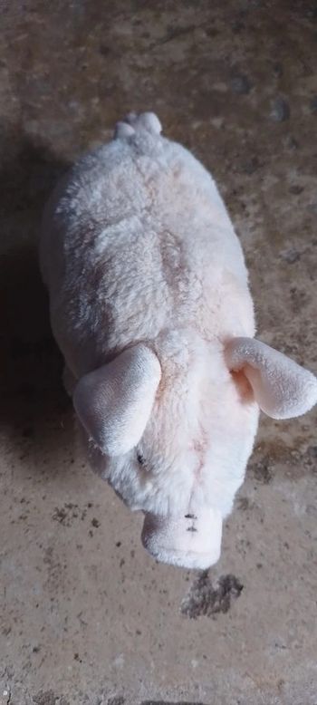 Peluche Cochon Mars & More