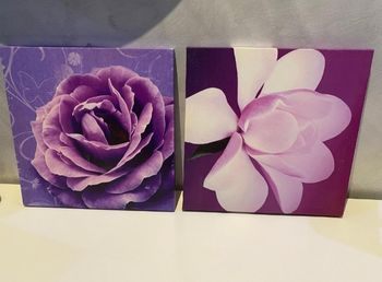 Lot tableau fleur