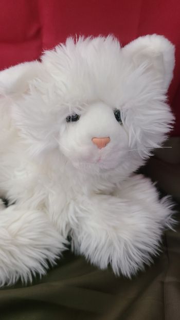 peluche chat angora blanc couché gipsy
