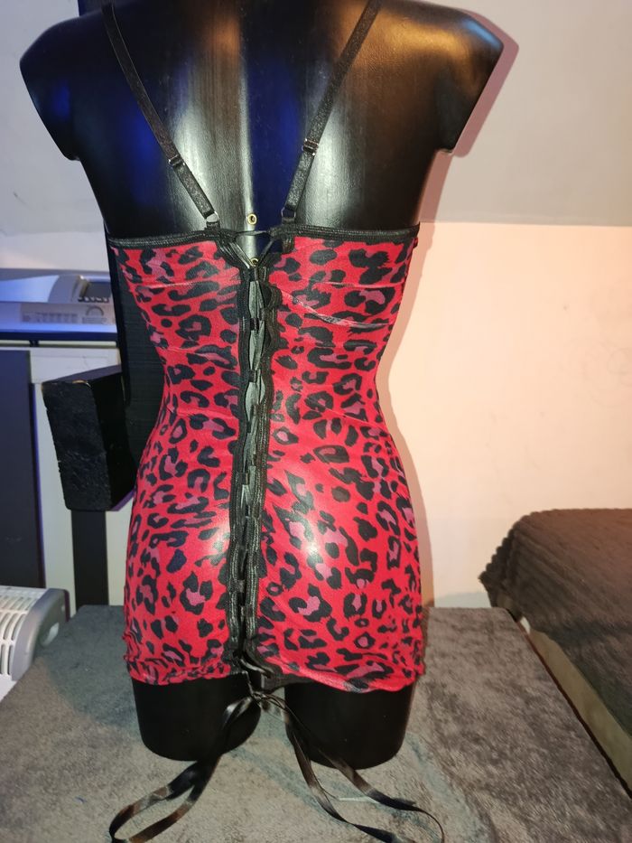 Nuisette - photo numéro 2