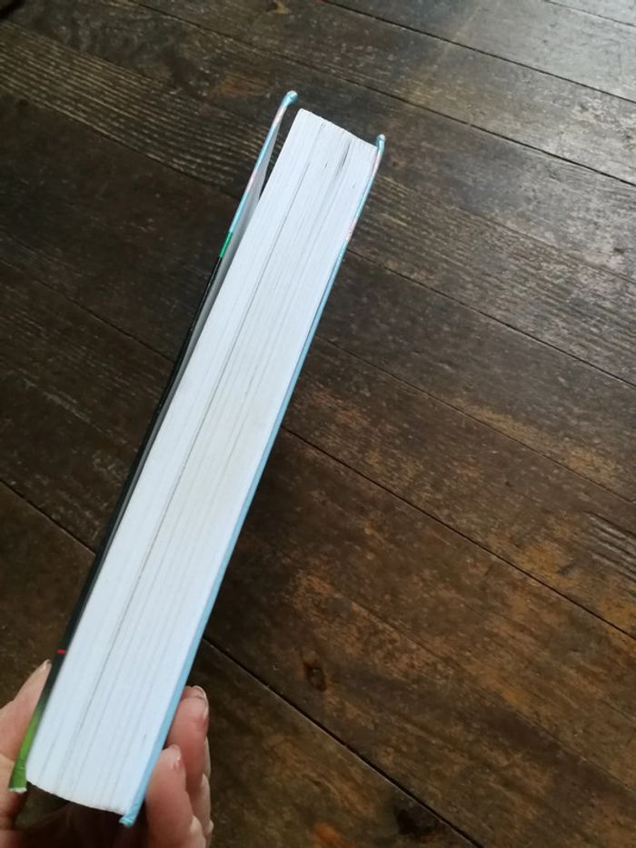 Le livre de bord de la future maman - photo numéro 9
