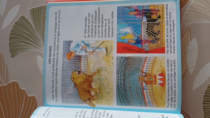 Livre L'imagerie du cirque - photo numéro 3