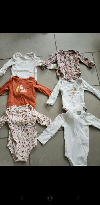Lot 6 bodies 6 mois