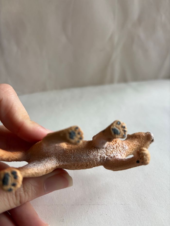 Puma Schleich - photo numéro 4