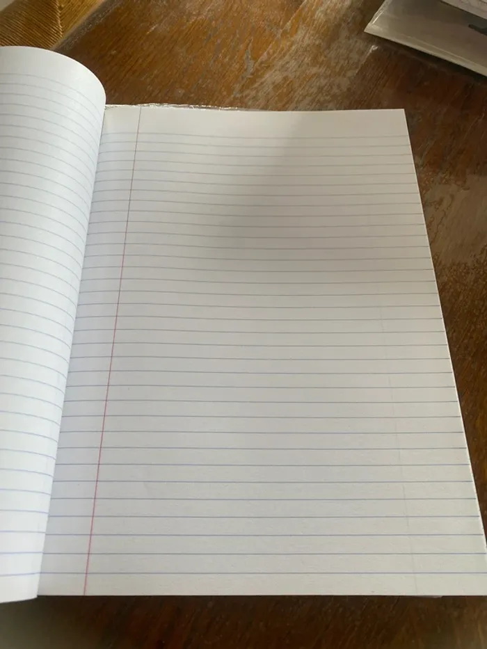11 grande cahiers brouillon - photo numéro 5