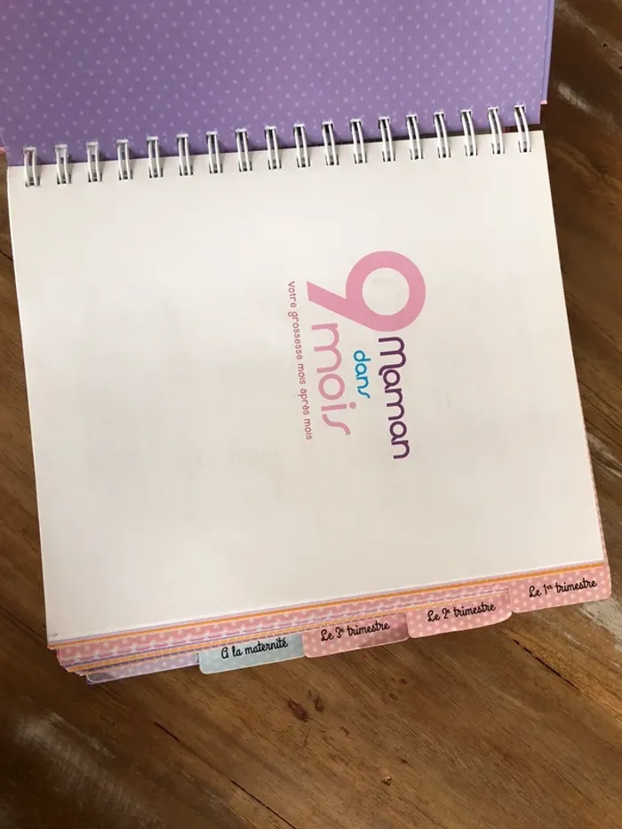 Livre Maman dans 9 mois - photo numéro 8