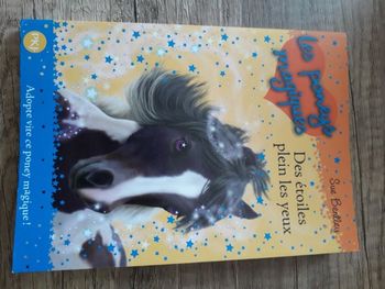 Les Poneys magiques