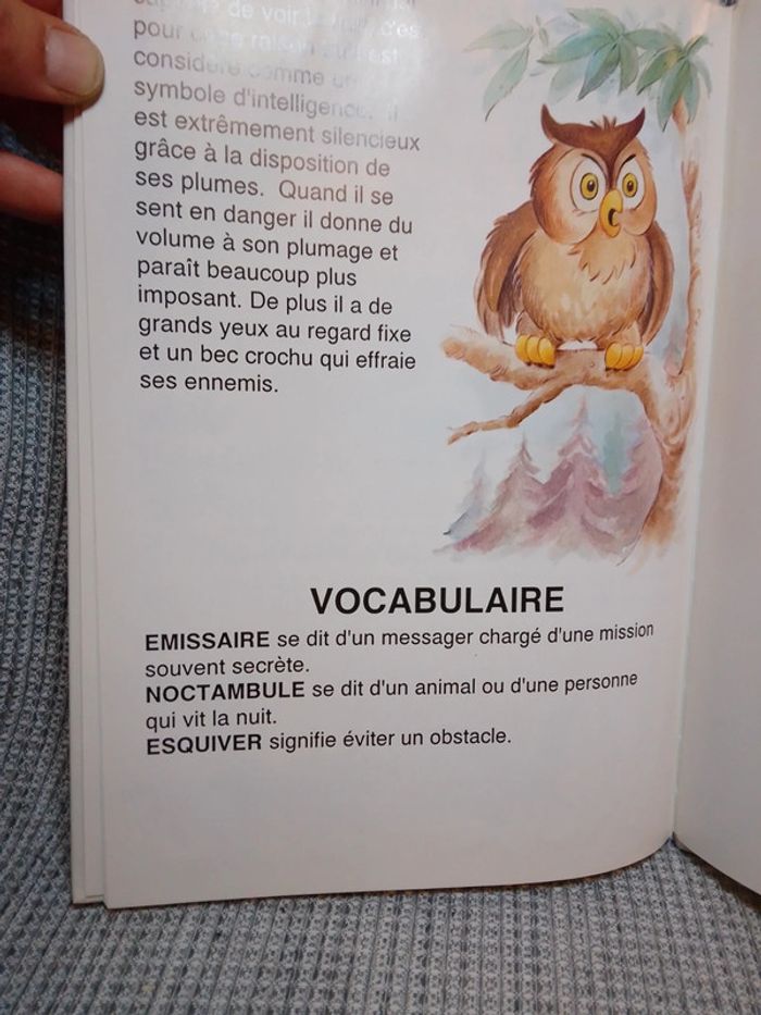 Les meilleures histoires de Sorcières N.2 - Ed. Grafylia - photo numéro 13