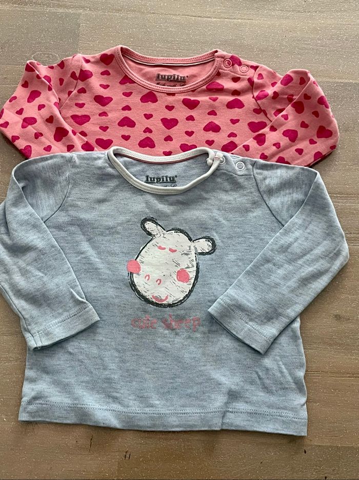 Lot 2 tee shirts ml lupilu